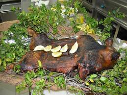 Agriturismo Agrifoglio