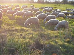 Agriturismo Agrifoglio