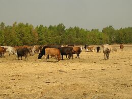 Agriturismo Agrifoglio