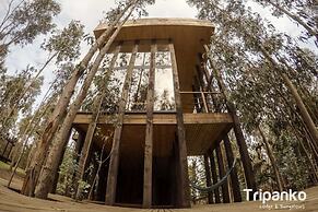 Tripanko Lodge & Bungalows