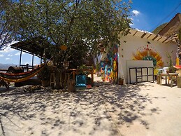 Supertramp Hostel Cusco