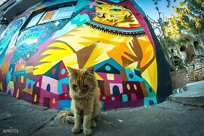 Supertramp Hostel Cusco