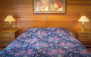 Pousada Cedro do Líbano