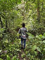 Amuntai Rainforest Lodge