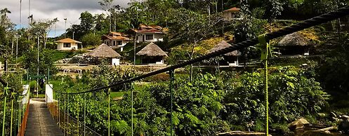 Amuntai Rainforest Lodge