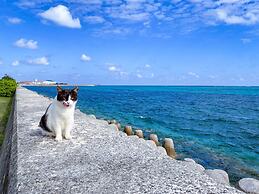 Guest House Asibina - Hostel