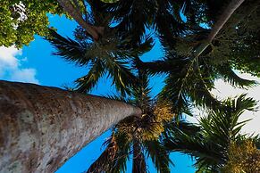 Guest House Asibina - Hostel