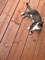 Guest House Asibina - Hostel