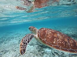 Guest House Asibina - Hostel