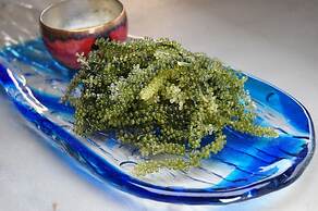 Guest House Asibina - Hostel