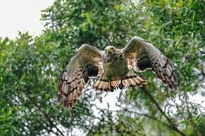 Guest House Asibina - Hostel