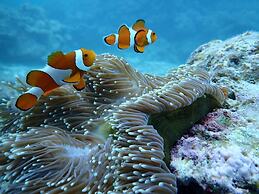 Guest House Asibina - Hostel