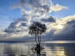 Guest House Asibina - Hostel