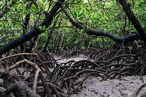 Guest House Asibina - Hostel