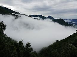 Nest and Hives Mukteshwar