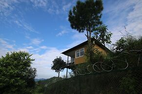 Nest and Hives Mukteshwar