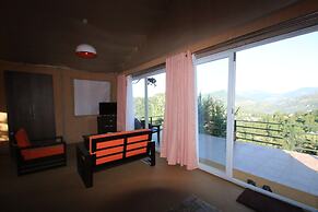 Nest and Hives Mukteshwar