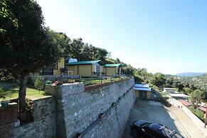 Nest and Hives Mukteshwar