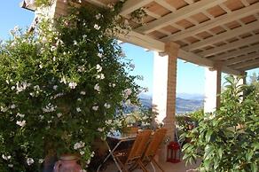 B&B Vento Di Rose