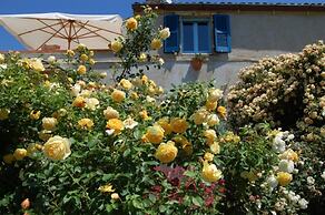 B&B Vento Di Rose