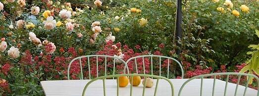 B&B Vento Di Rose
