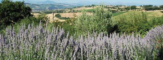 B&B Vento Di Rose