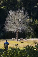 Tyenna River Cottage