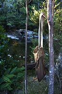 Tyenna River Cottage