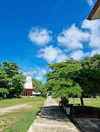 Brown Andaman  Krabi