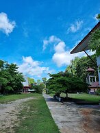 Brown Andaman  Krabi