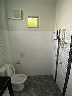 Brown Andaman  Krabi