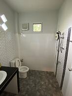 Brown Andaman  Krabi