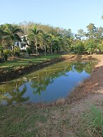 Brown Andaman  Krabi