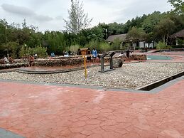 Brown Andaman  Krabi