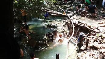 Brown Andaman  Krabi