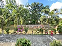 Brown Andaman  Krabi