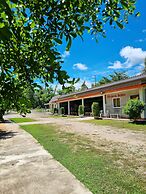 Brown Andaman  Krabi