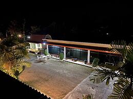 Brown Andaman  Krabi