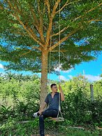 Brown Andaman  Krabi