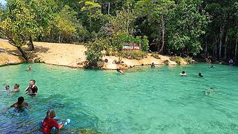 Brown Andaman  Krabi