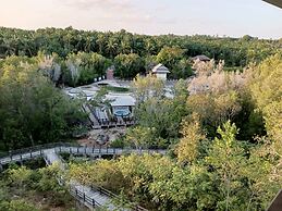 Brown Andaman  Krabi