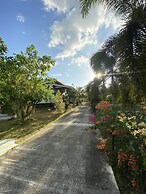 Brown Andaman  Krabi