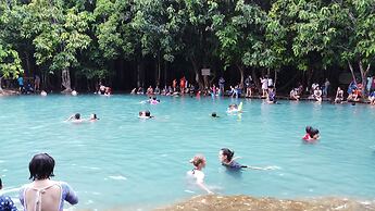 Brown Andaman  Krabi