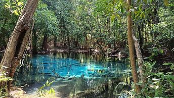 Brown Andaman  Krabi