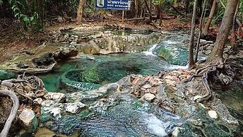 Brown Andaman  Krabi