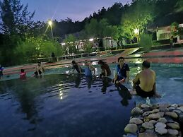 Brown Andaman  Krabi