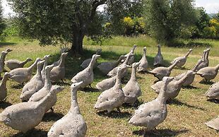 Dimora Santa Margherita