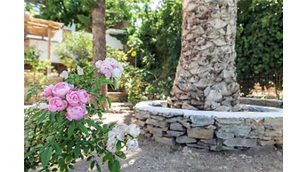 Amazing 1-Bedroom House in Tinos