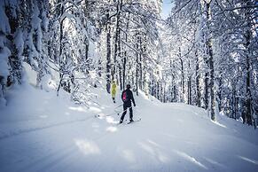 Nature Titisee