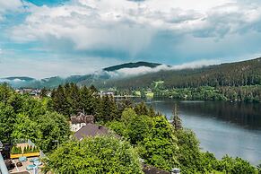Nature Titisee